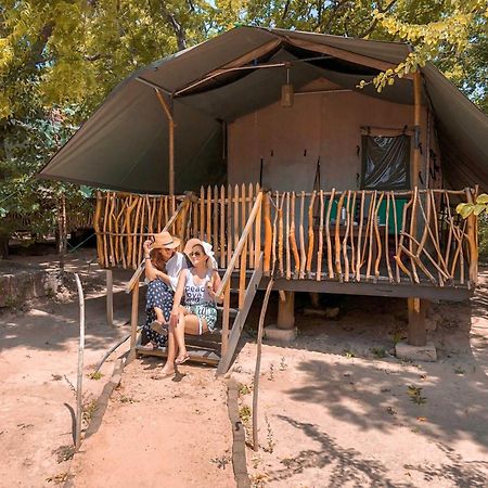 Camp Leopard - Yala Safari Glamping Hotel Luaran gambar