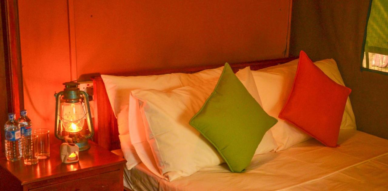 Camp Leopard - Yala Safari Glamping Hotel Luaran gambar