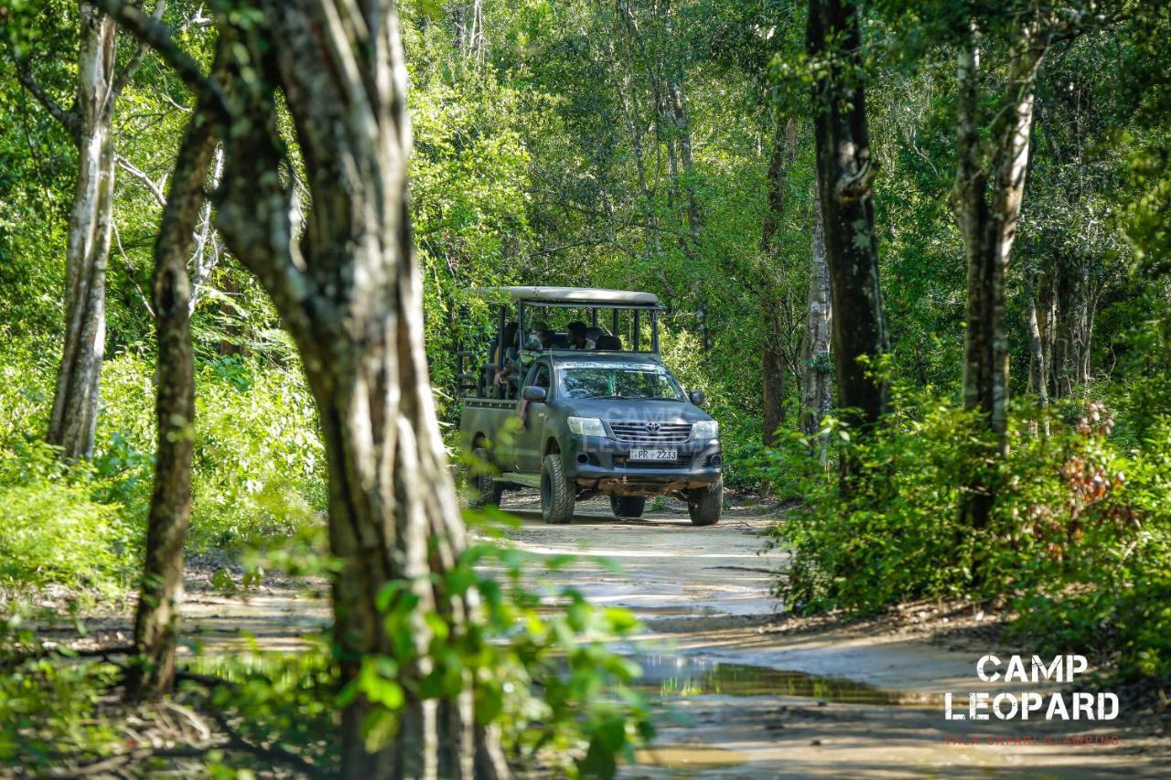 Camp Leopard - Yala Safari Glamping Hotel Luaran gambar