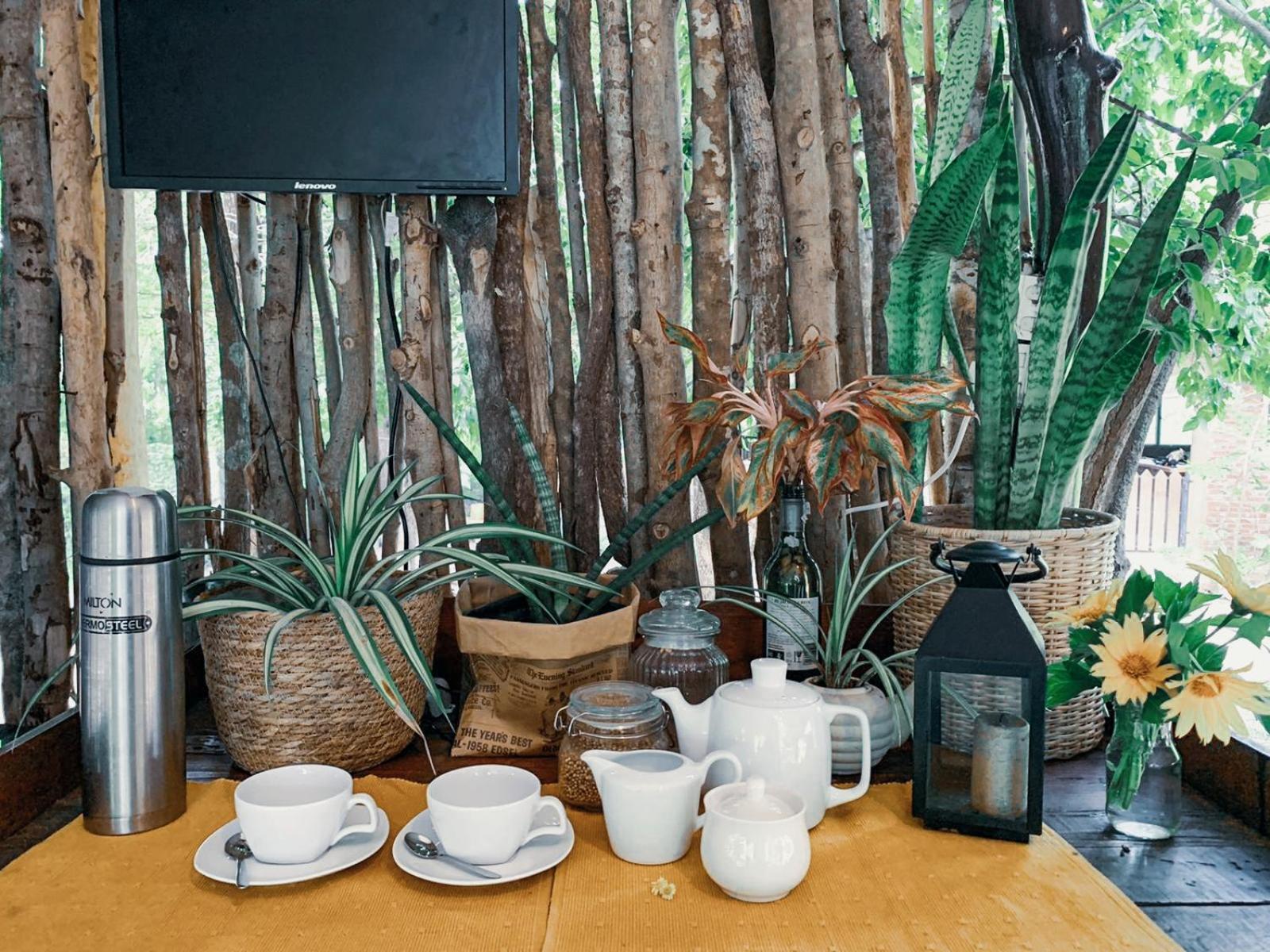 Camp Leopard - Yala Safari Glamping Hotel Luaran gambar