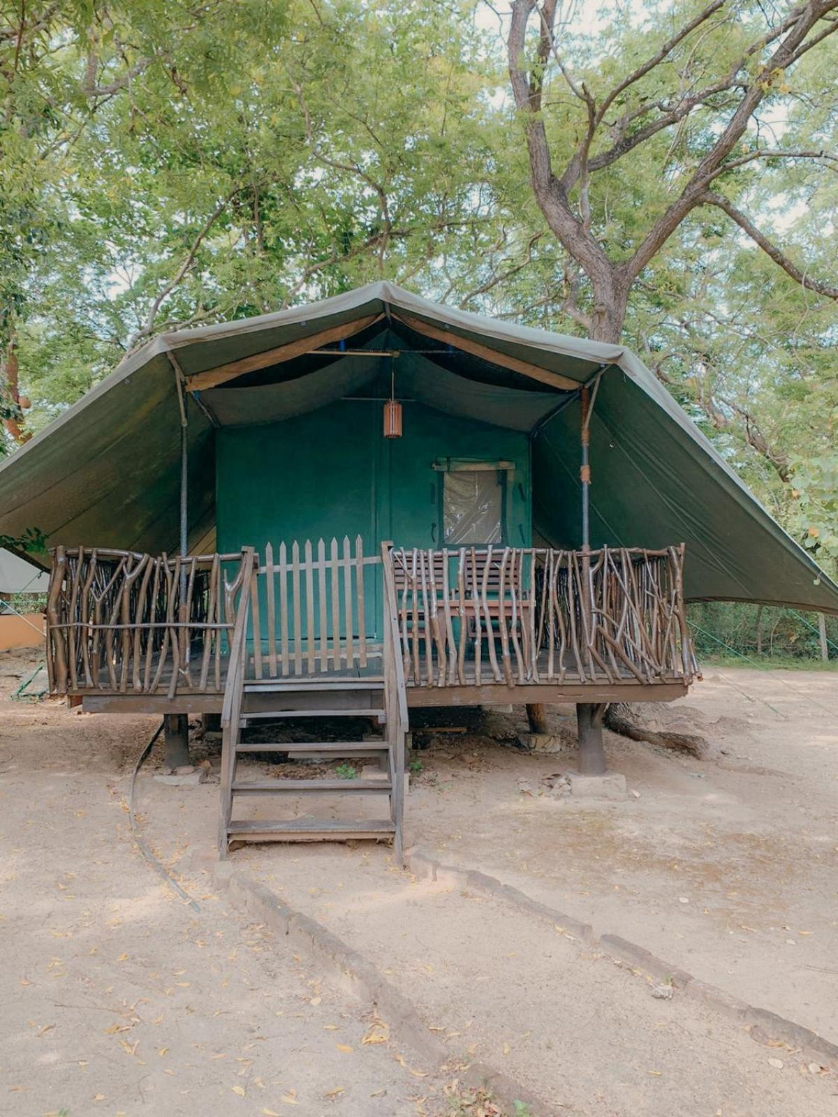 Camp Leopard - Yala Safari Glamping Hotel Luaran gambar