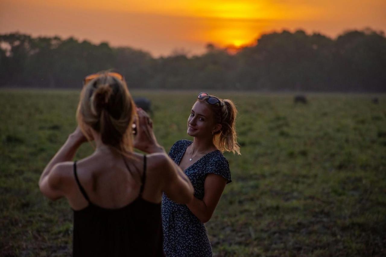 Camp Leopard - Yala Safari Glamping Hotel Luaran gambar