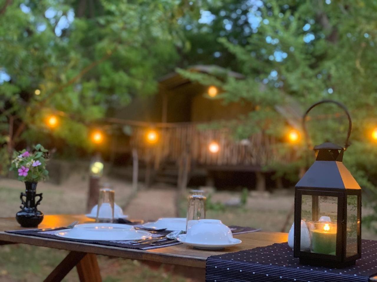 Camp Leopard - Yala Safari Glamping Hotel Luaran gambar