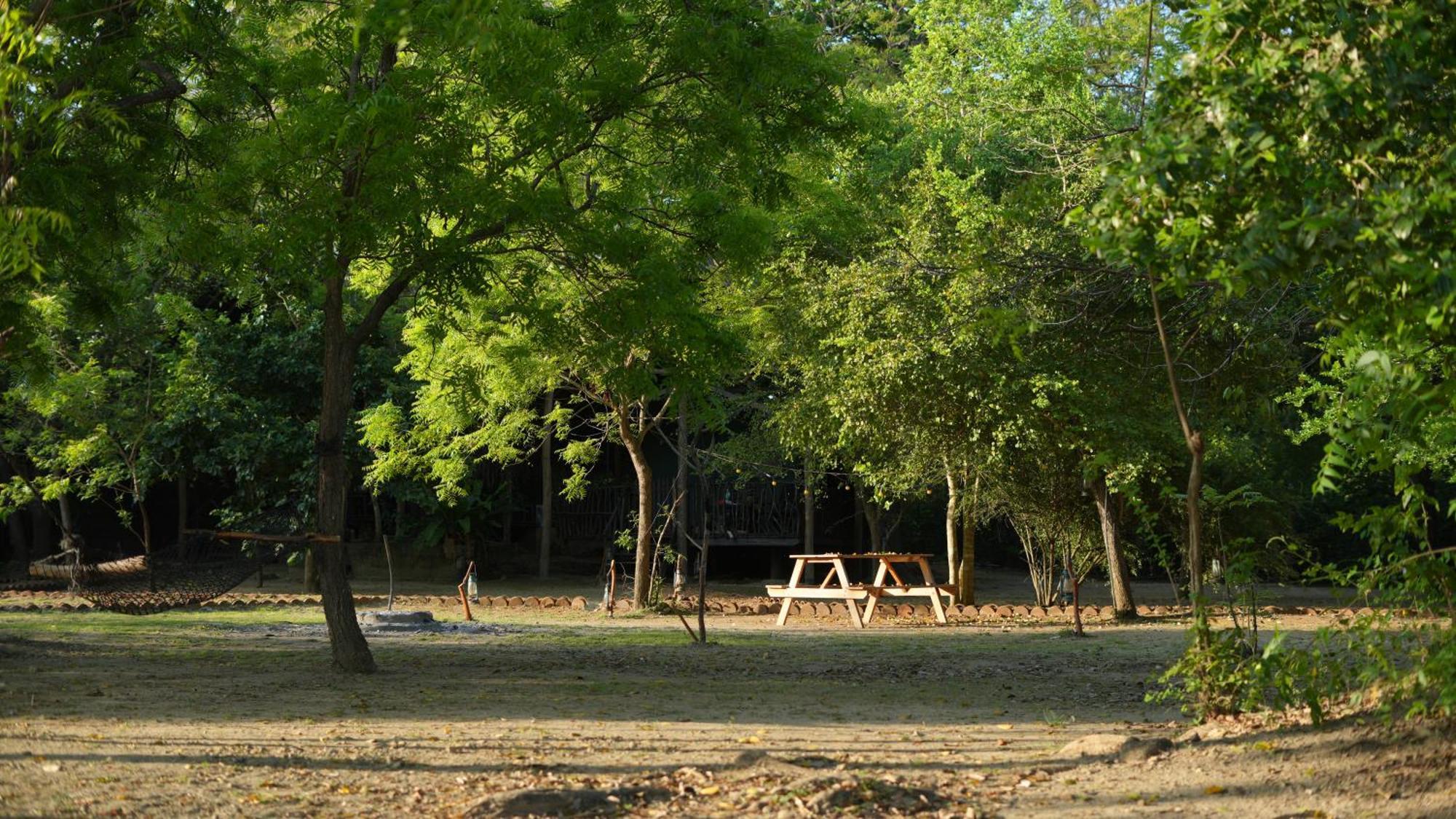 Camp Leopard - Yala Safari Glamping Hotel Luaran gambar