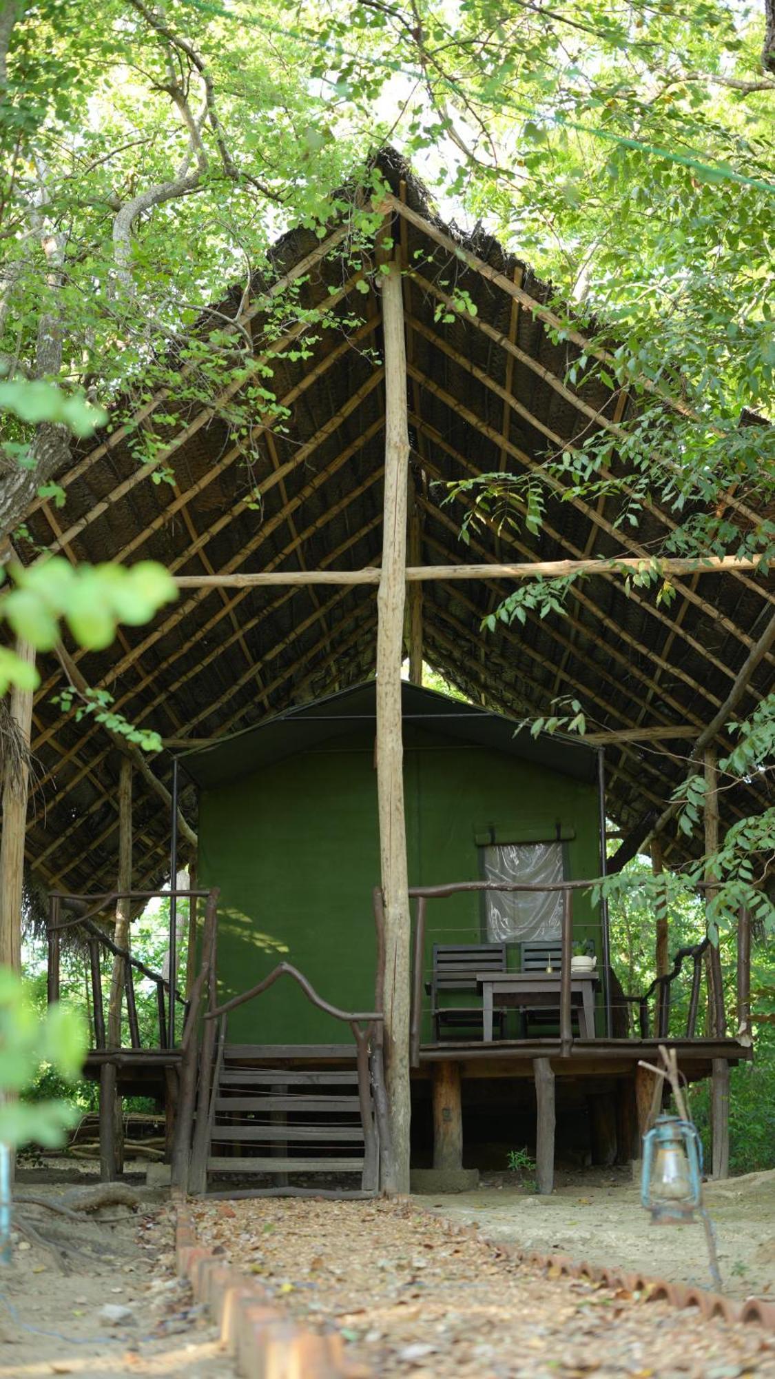 Camp Leopard - Yala Safari Glamping Hotel Luaran gambar