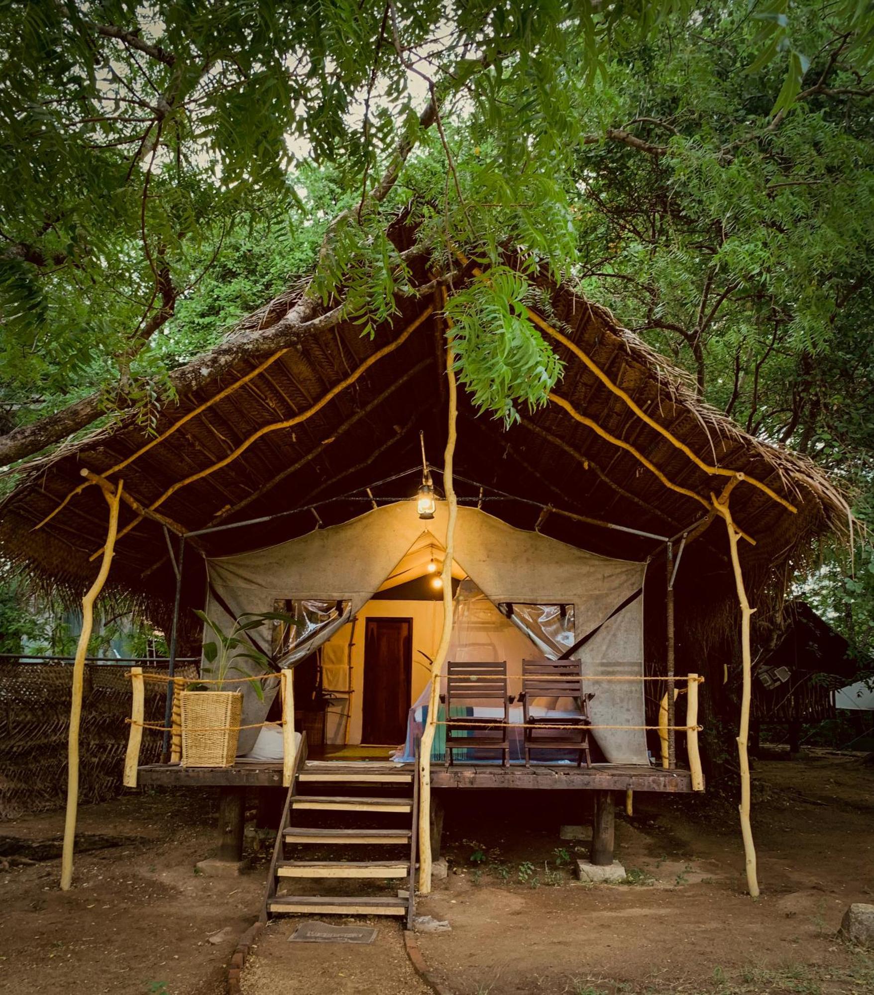 Camp Leopard - Yala Safari Glamping Hotel Luaran gambar