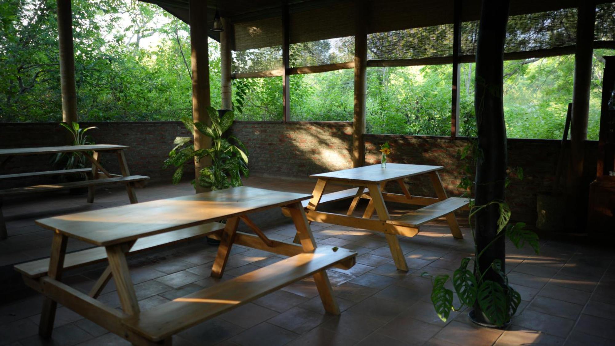 Camp Leopard - Yala Safari Glamping Hotel Luaran gambar